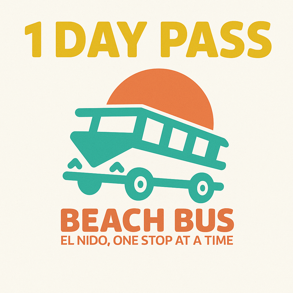 1 Day Pass